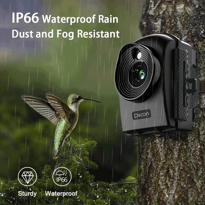 Gambar . Time Lapse Camera 1080P Photo Video 2.4" Hd Tft Lcd Outdoor - dari digeridoo undefined Tokopedia