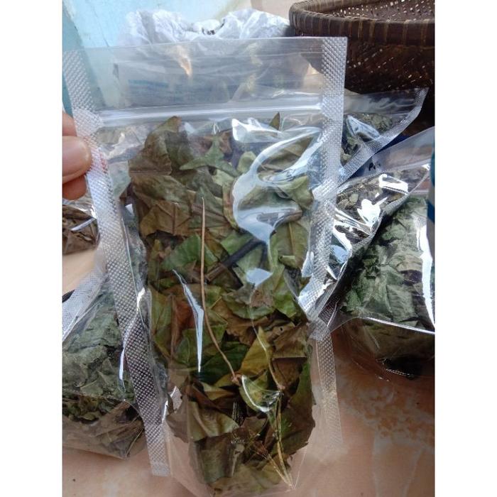 Gambar DAUN KOPI KERING / BENALU (DIJEMUR DIBAWAH TERIK MATAHARI ) dari Ngocorgolontor undefined Tokopedia