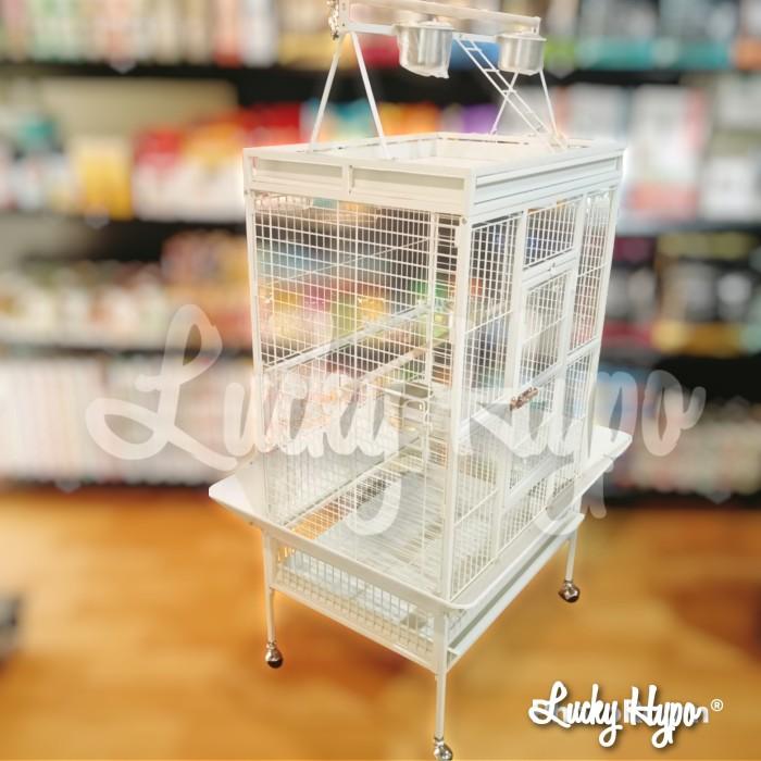 Gambar [TERBARU] A19 Dayang Bird cage Kandang Besi Burung Parrot Kakatua dari MestiMurahStoree undefined Tokopedia