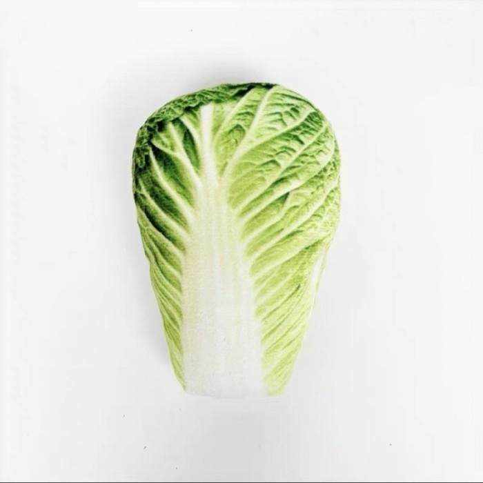 Gambar Mainan boneka 3D anjing / kucing l Mainan Bola Gigit Hewan Peliharaan - Sawi dari Pawsitive Official undefined Tokopedia