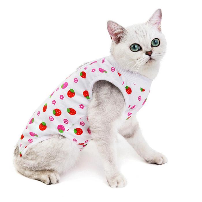 Gambar DANILO Soft Cat Clothes Breathable Pet Supplies Recovery Suits Kittens dari Akbar Gurih undefined Tokopedia