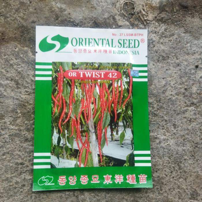 Gambar BENIH BIBIT CABAI OR TWIST 42 ( PRODUK ASLI) dari kedai mullaa undefined Tokopedia