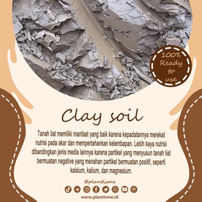 Gambar Wet Clay Soil | Tanah Liat Media Tanam Tanaman Air Aquatic Buah Sayur - 1 kg dari Davprime undefined Tokopedia