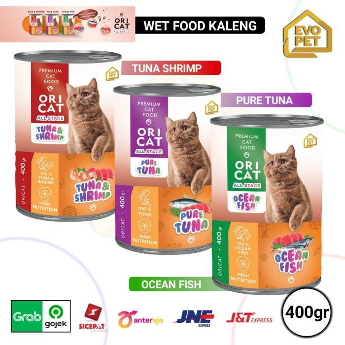Gambar makanan basah kucing ORI CAT KALENG 400 gr wet food ori cat - OCEAN FISH dari kopo petshop undefined Tokopedia