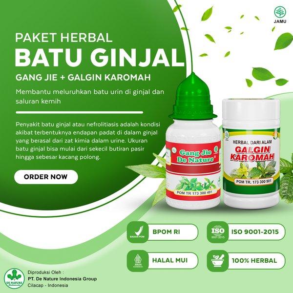 Gambar Obat Kencing Berdarah Sindrom Nefritik Peradangan Pada Glomerulus - dari PIMAR STORE undefined Tokopedia