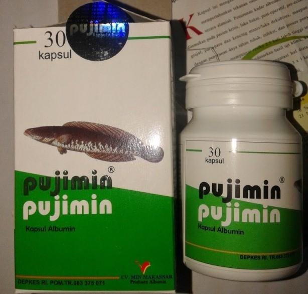 Gambar PUJIMIN KAPSUL ALBUMIN IKAN KUTUK / GABUS TERLARIS. dari mona_store. undefined Tokopedia