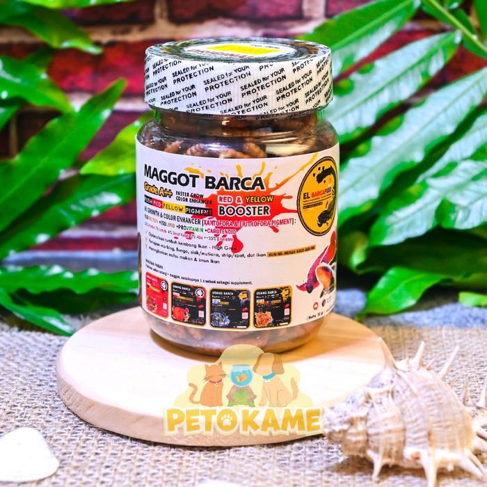 Gambar El Barca Kemasan Kecil Udang Kering Maggot BSF Cricket Jangkrik ULJER - Maggot Red 30gr dari Aaliyaimart undefined Tokopedia