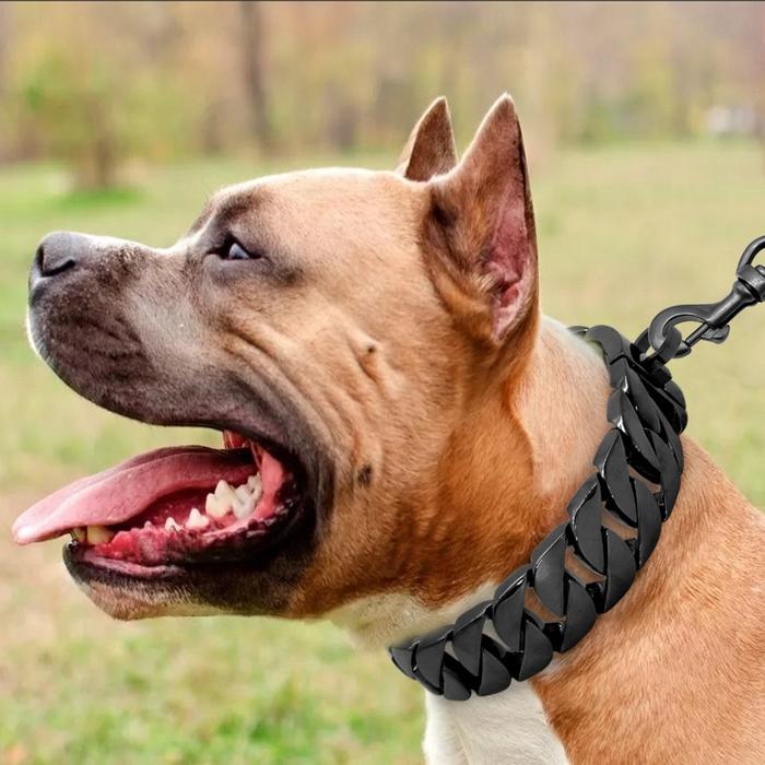 Pitbull Big Dog Collar Chain Cuban Link Necklace For Pitbull Cuban