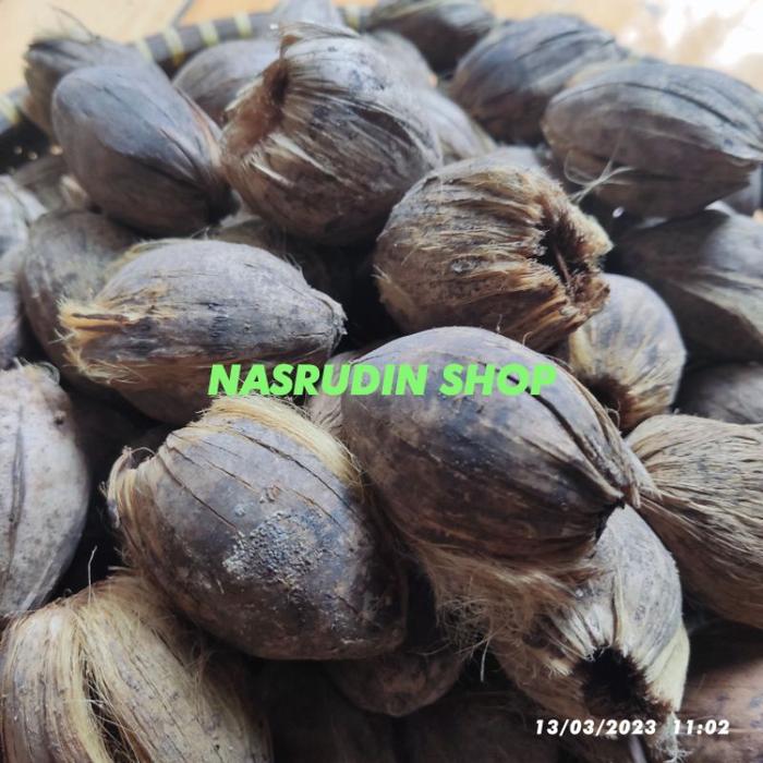 Gambar KULIT PINANG UTUH 50 PCS / KULIT BUAH PINANG KERING MEDIA TANAM dari JAVA CROUSE undefined Tokopedia