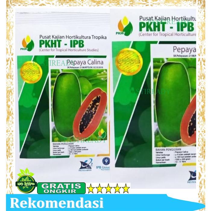 Gambar BENIH PEPAYA CALINA CALIFORNIA pkht IPB ISI 250 botani seed benih - pkht isi 250 dari JayaFarm. undefined 2 Tokopedia