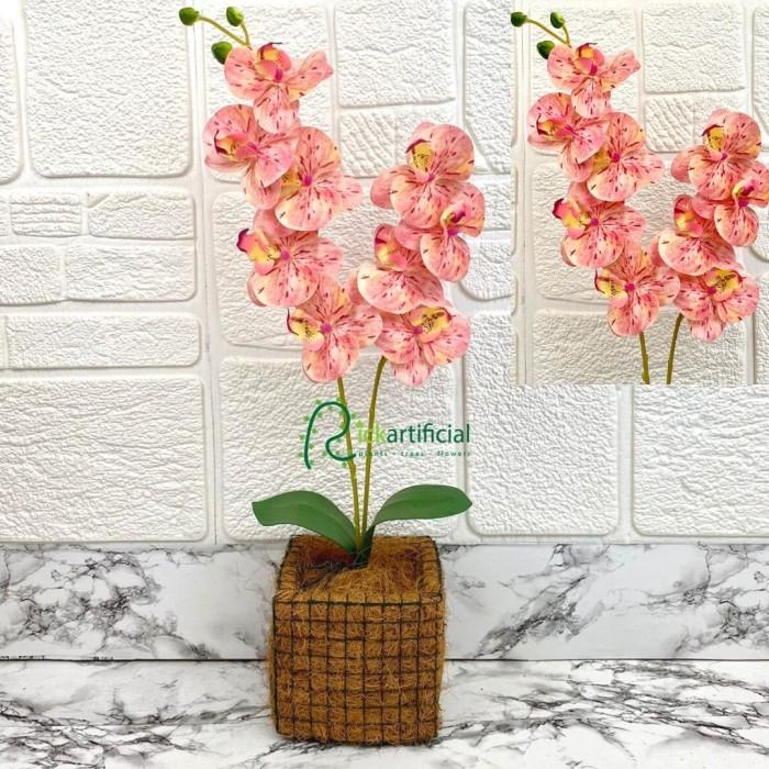 Gambar sfm bunga anggrek bulan x2 latex artificial pot sabut kelapa rangka - Pink, Vas Kotak dari Sun Flower Mystore undefined Tokopedia