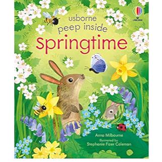 Gambar Usborne Peep Inside Board Book Flaps - Fire Engine Snowy Place Zoo Recycling Truck Plane Buku  Edukasi Anak ted English Education Book - Springtime dari My Own Flashcards undefined Tokopedia