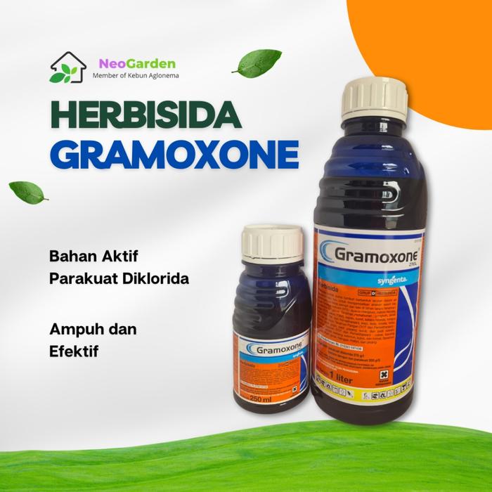 Gambar Herbisida GRAMOXON 276 SL 250 ml - Racun Rumput Liar Pembasmi Gulma - 250 ml dari Neo Garden undefined Tokopedia