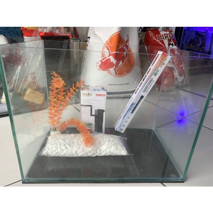 Gambar Paket aquarium kaca 5mm/40x25x25/instan kurir - Komplit set New - Komplit set dari carlstore4 undefined 5 Tokopedia