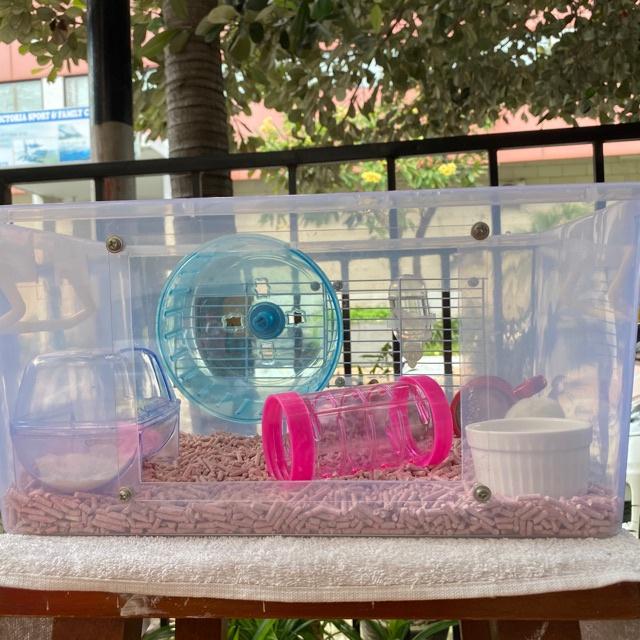 Gambar Clumpet Alas Kandang Hamster / Beeding Bedding Soya Tofu Litter dari cikarin undefined Tokopedia