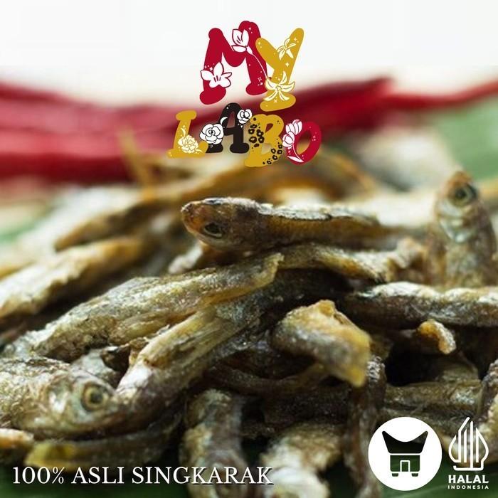 Gambar IKAN BILIH BILIS KERING Ikan Danau Singkarak Oleh Oleh Khas Minang - 250 gram dari Khas Minang Oleh My Labo undefined Tokopedia