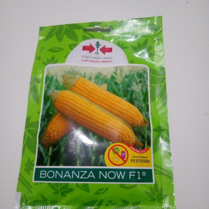Gambar benih manis 100 butir bonanza now f1 berwli 3647qk dari Enrichz undefined Tokopedia