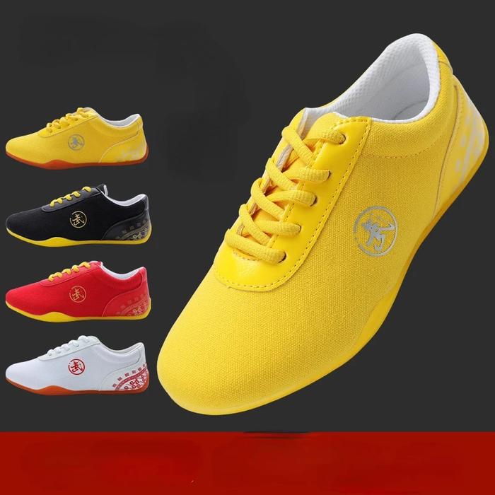 Gambar Canvas Kung Fu Shoes Martial Arts Tai Chi Taekwondo Wu Shu Karate dari Zakisa Store undefined Tokopedia