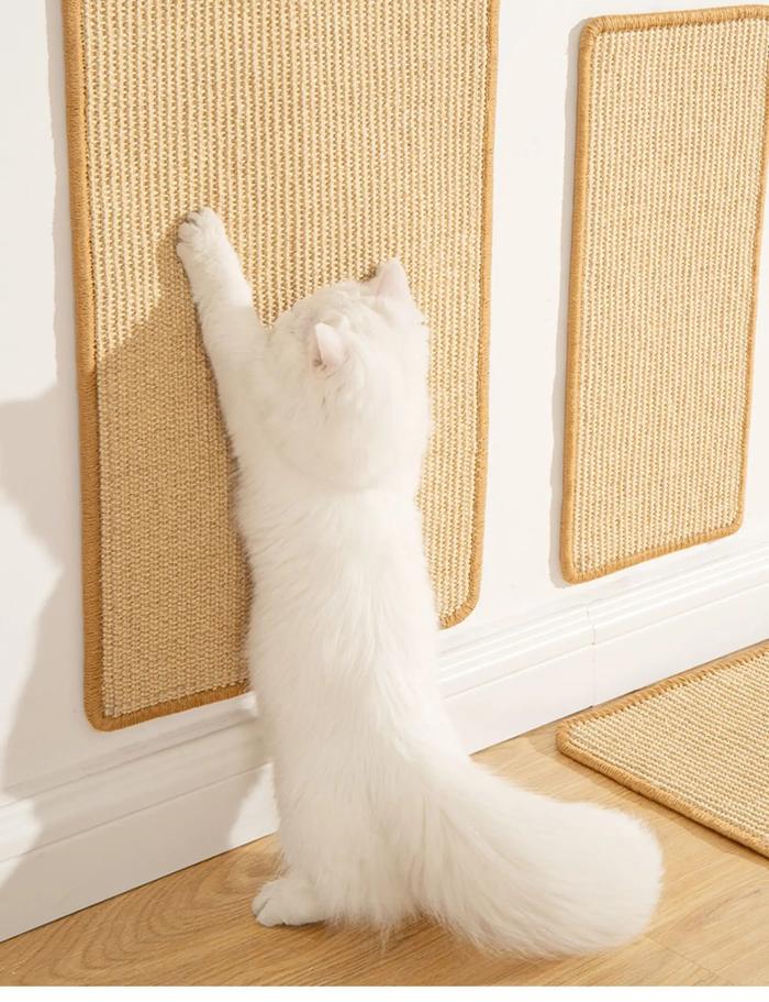 80/80 Nail File Scratcher Scratch Pad Wrapped Around Scratching - Main Image