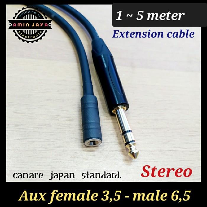 Gambar Kabel extension jack trs 6,5 to mini stereo 3,5 mm - 1 meter - 2 meter dari NUGRAHA STORE 36 undefined 5 Tokopedia