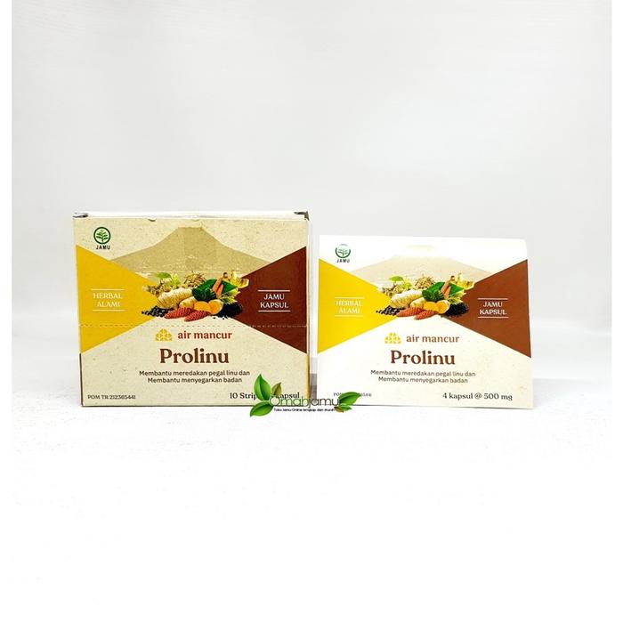 Gambar Jamu pegel linu Kapsul Ampuh AIR MANCUR STRIP Isi 4 - Prolinu dari Laras Toko UMKM undefined Tokopedia