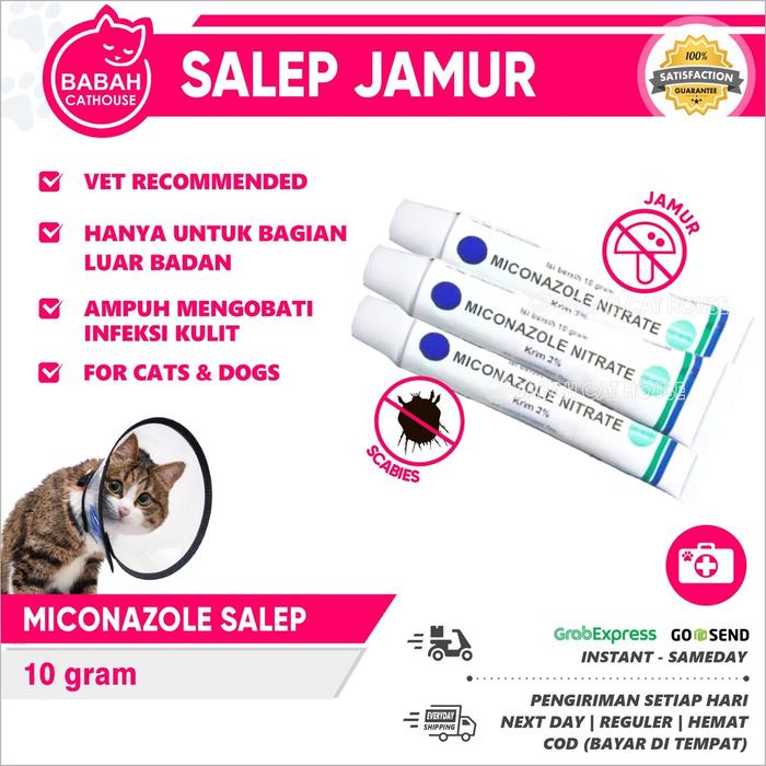 Gambar MICONAZOLE NITRATE 10gr Obat Salep Jamur Kucing Anjing Ampuh Kimia Farma Krim 2% 10 gram Murah Aman * dari DenBagusStore-1 undefined Tokopedia