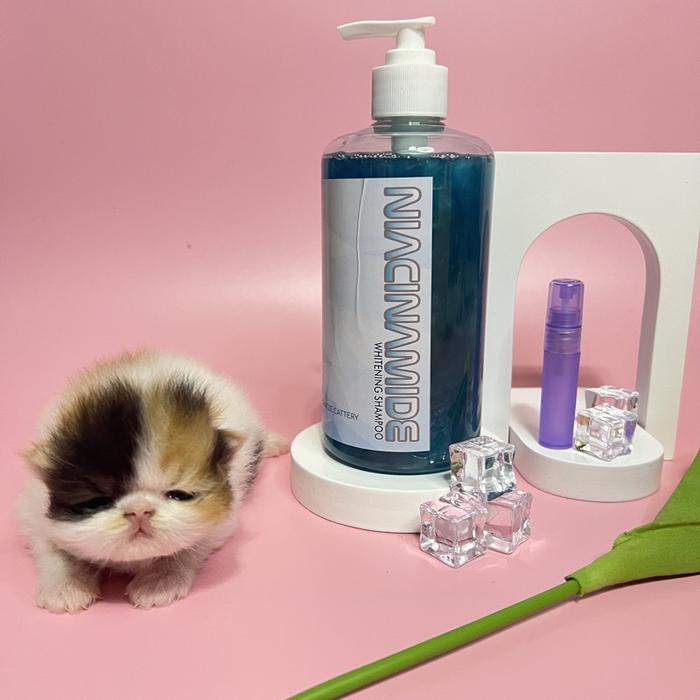 Gambar Miezekatze Whitening Shampo 500Ml *Bonus Snack* New dari fuzanaofficial undefined Tokopedia