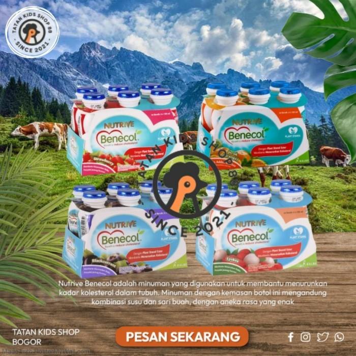 Gambar Nutrive Benecol untuk Kolesterol 6 × 100ml Nutrive Fiber shot 6 ×100ml - fiber shot dari sincanau undefined Tokopedia