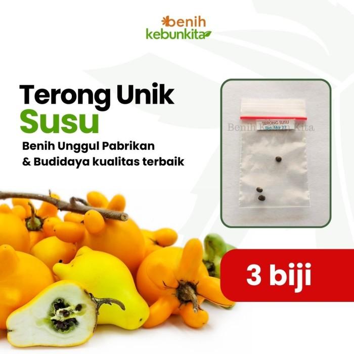 Gambar Benih Biji Terong Susu Benih Unggul - Solanum Mammosum dari Benih Kebun Kita undefined Tokopedia