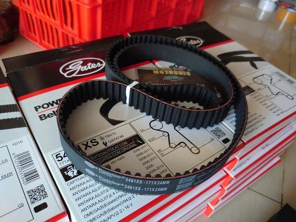 Gambar timing belt opel blazer dohc captiva c100 bensin 23OCTZ4 perkakas dari maureenshops undefined Tokopedia