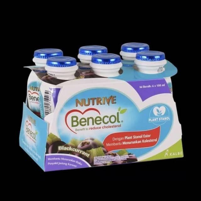 Gambar Nutrive Benecol 6X100Ml Tersedia 4 Rasa (Best Quality) dari KAVAMELDA OFFICE STORE undefined Tokopedia