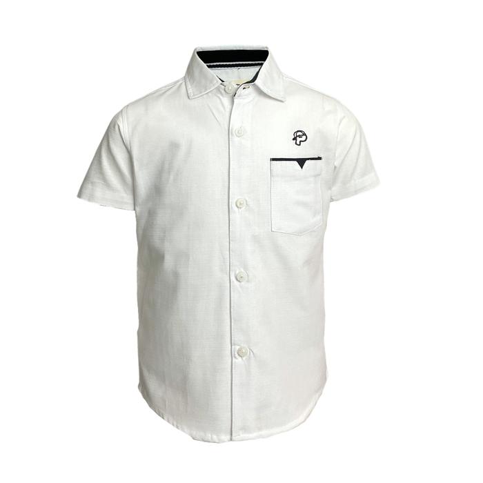 Gambar Pingu Kemeja Anak Laki Laki Polos Pendek Putih 92203529 - 2-3 dari Pingukids undefined Tokopedia