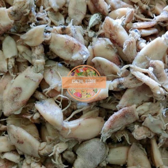Gambar BABY CUMI CUMI KERING ASIN 1 KG 2-4cm FRESH dari lud-2 undefined Tokopedia