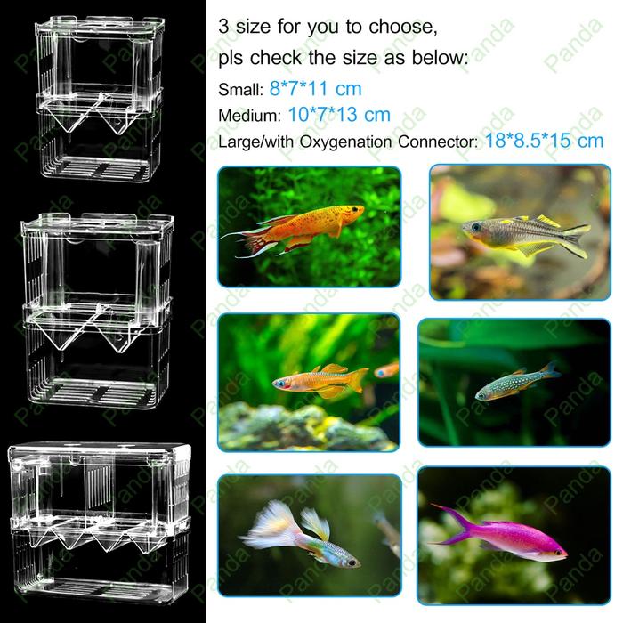 Jual Guppy Breeding Hatching Isolation Box S/M/L Size Karantina