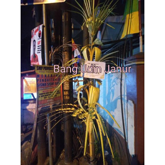 Gambar Janur Depok, Janur Super,, Beli 2 Janur Besar Gratis Janur Kecil.. Janur Pernikahan Penjor Pernikahan. Janur Khitanan - kecil + nama dari dahliai undefined Tokopedia