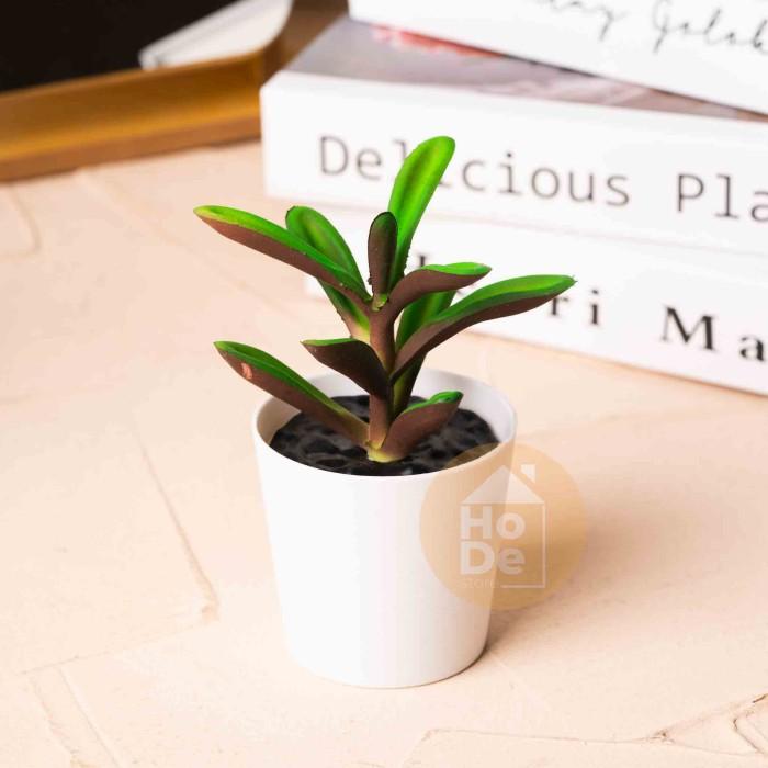 Gambar KAKTUS SUKULEN ARTIFICIAL POT, UNTUK DEKORASI RUANGAN (ALL MODEL) - Sukulen no 1 dari Gaoo Store undefined Tokopedia