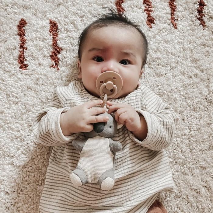 Gambar itzy ritzy | bitzy pal natural rubber pacifier & lovey AISY STORE TOKOPEDIA dari AISY STORE TOKOPEDIA undefined Tokopedia