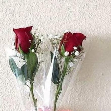 Gambar TheParty88- Setangkai Bunga mawar asli | rose single bloom dari bbueisksb undefined Tokopedia