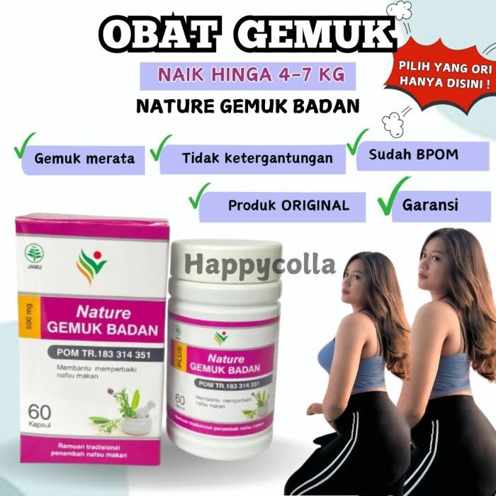 Gambar Obat Gemuk Nature Herbal BPOM 60 Kapsul Suplemen Penggemuk Badan - Tester (isi 8) - Tester (isi 8) dari Bintang Perintis- undefined Tokopedia