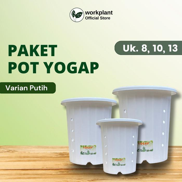 Gambar Workplant - Paket Pot Yogap (Extra Drainase) Ukuran Kecil - Putih dari workplant official undefined Tokopedia
