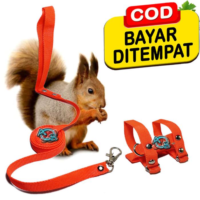 Leash Tali Sugar Glider Squirrel Accessories Cozy Sugar Glider