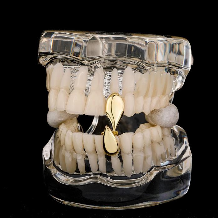 Gambar Hip Hop Teeth Grillz Emas/Perak Gigi Taring Palsu Vampire Cosplay Retractable Vampire Fangs Teeth Halloween Party Props dari Sulmarnia Shop undefined Tokopedia
