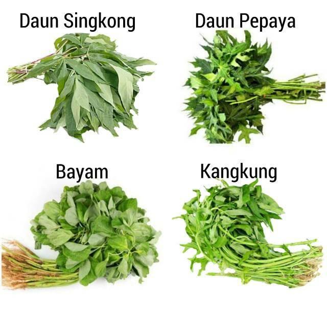 Gambar Kangkung / Bayam / Daun Singkong / Daun Pepaya Jepang 1ikat - D. Pepaya Pahit dari Anita Mart undefined Tokopedia