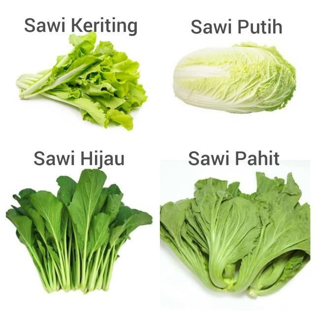 Gambar Sayur segar Sawi Putih / Hijau / Keriting / Pahit - Sawi Keriting dari Anita Mart undefined 2 Tokopedia