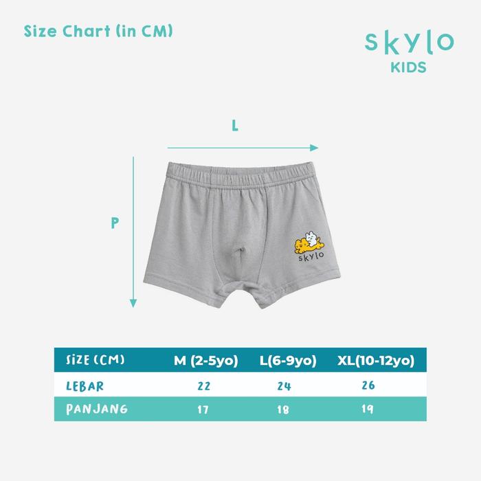 Gambar Celana Dalam Anak Laki-laki 2 PCS Boy Underwear Boxer Skylo Kids - M dari Edenwear undefined Tokopedia