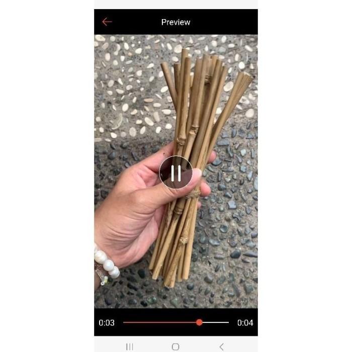 Gambar Terbaru 15 Pc Ranting Bambu Kecil 18 - 21 cm Dekorasi Hiasan Prakarya - coklat muda, 18 cm dari Wangi Lestari Indonesia undefined Tokopedia