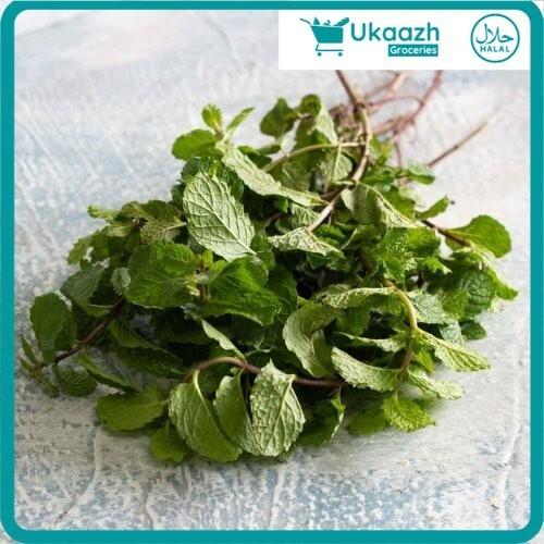 Gambar UKAAZH GROCERIES Daun Mint Conventional 50 gram dari Ukaazh undefined Tokopedia