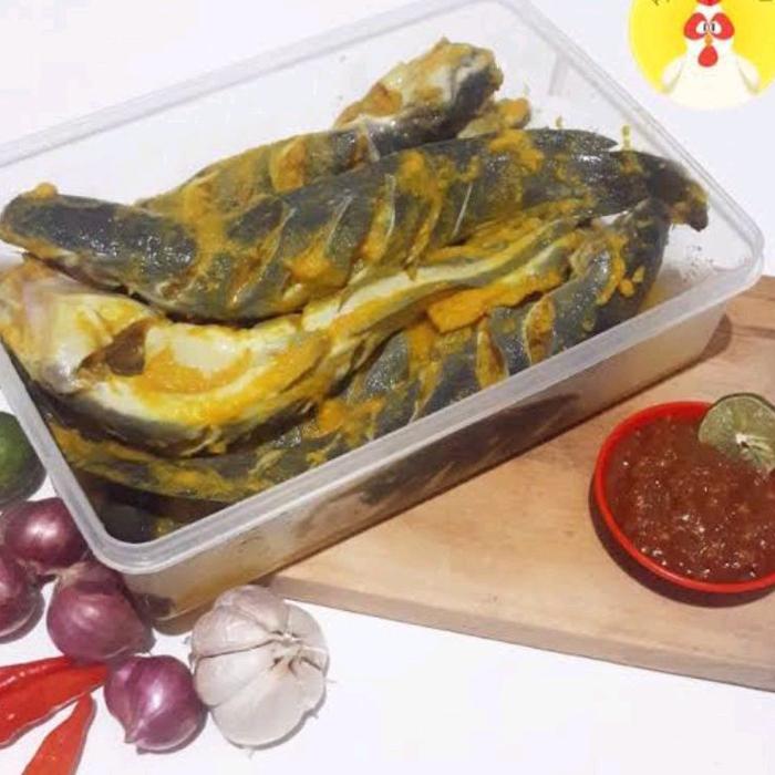 Gambar READY IKAN LELE bumbu Kuning Fresh berat 1 kg isi 7 - 8 ekor sudah dari Sodakue Co. undefined Tokopedia