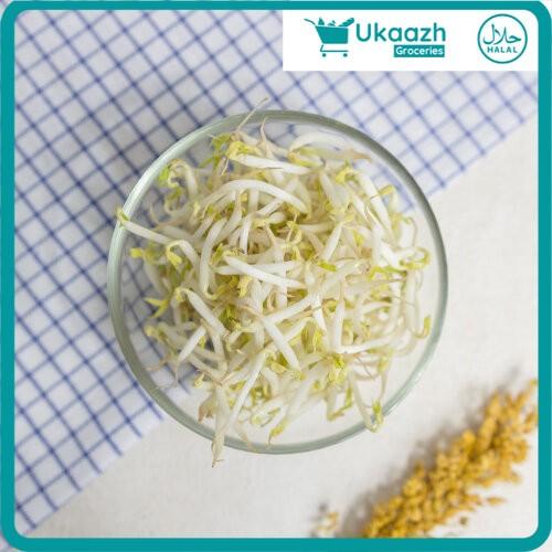Gambar UKAAZH GROCERIES Tauge Toge Conventional 1/4 Kg dari Ukaazh undefined Tokopedia