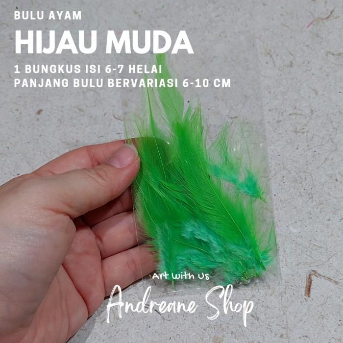 Gambar Bulu Ayam isi 5 helai per bungkus - Hijau Muda dari Andreane Shop undefined 4 Tokopedia